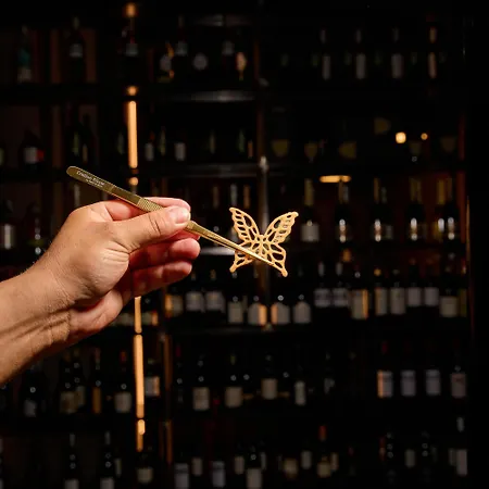 Le Agavi & * Saludecio